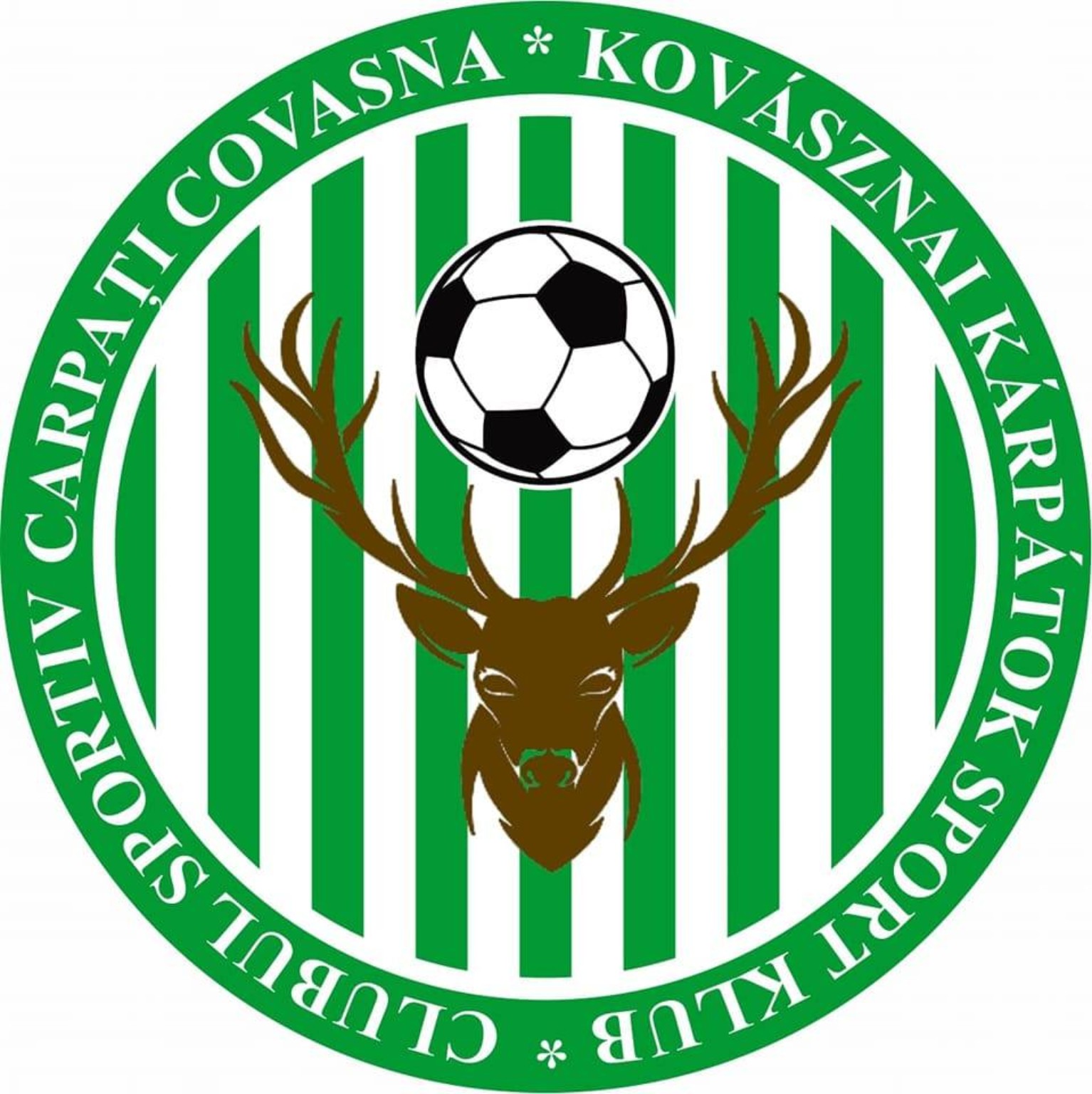 Sigla Carpați Covasna